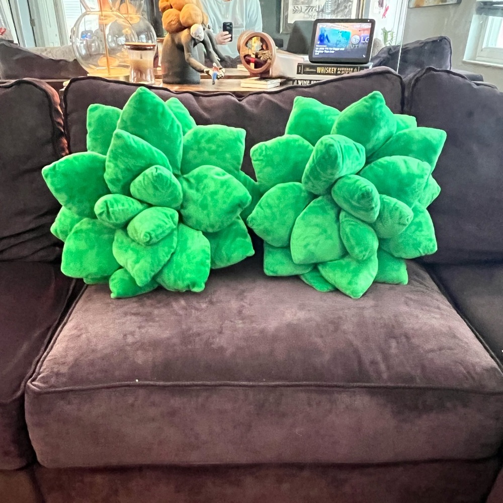 Green Succulent Throw Pillows
